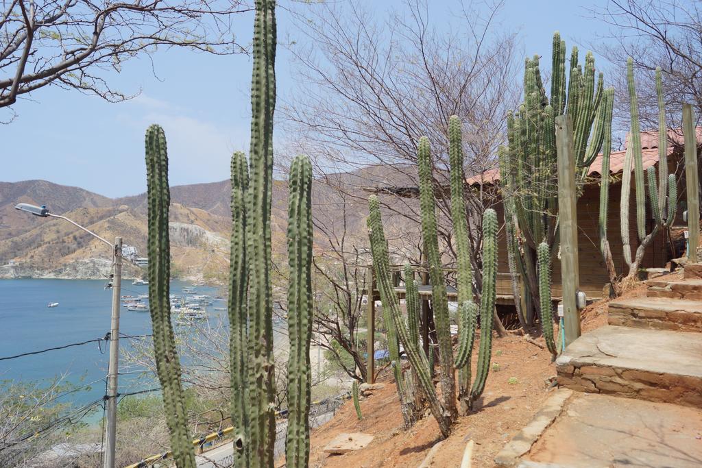 Hotel Cactus Taganga Buitenkant foto